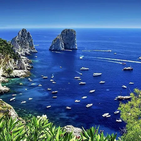 Igea * Capri